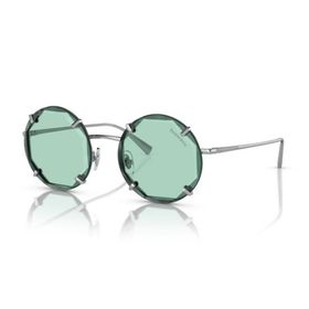 Tiffany & Co. 3091 6001D9 Kadın Güneş Gözlüğü