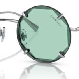 Tiffany & Co. 3091 6001D9 Kadın Güneş Gözlüğü