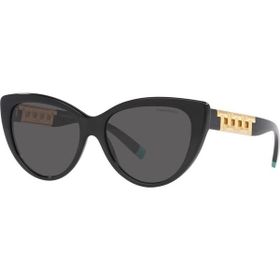 Tiffany TF4196 8001S4 Kadın Güneş Gözlüğü