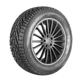 Tigar 195/65R15 95T XL Winter Kış Lastiği