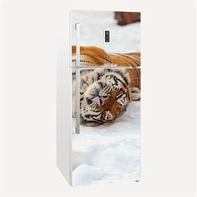 Tilki Dünyası 0010 Buzdolabı Stickerı