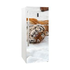 Tilki Dünyası 0010 Buzdolabı Stickerı