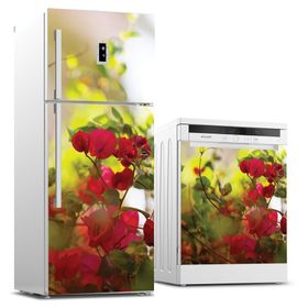 Tilki Dünyası 0010 Buzdolabı Stickerı
