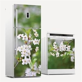 Tilki Dünyası 0013 Buzdolabı Stickerı