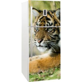 Tilki Dünyası 0015-BUZS000015 Buzdolabı Kapağı Kaplama Sticker