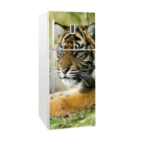 Tilki Dünyası 0015-BUZS000015 Buzdolabı Kapağı Kaplama Sticker