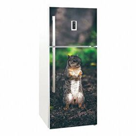 Tilki Dünyası 0016-BUZS000016 Buzdolabı Kapağı Kaplama Sticker