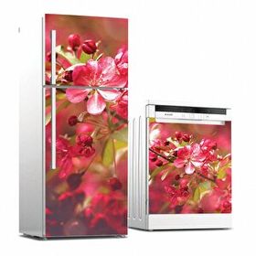 Tilki Dünyası 0076 Buzdolabı ve Bulaşık Makinesi Takım Sticker