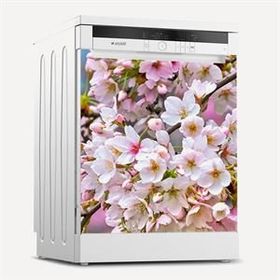 Tilki Dünyası 0093 Buzdolabı Stickerı