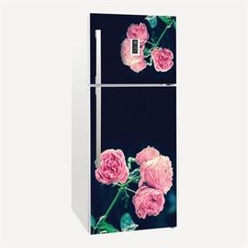 Tilki Dünyası 0093-BUZS000093 Buzdolabı Kapağı Kaplama Sticker