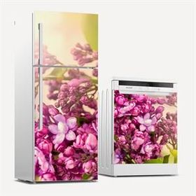 Tilki Dünyası 0099 Buzdolabı Stickerı
