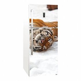 Tilki Dünyası 0101-BUZS000101 Buzdolabı Kapağı Kaplama Sticker