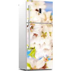 Tilki Dünyası 0154 Buzdolabı Stickerı