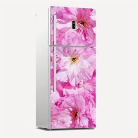 Tilki Dünyası 0155 Buzdolabı Stickerı