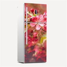 Tilki Dünyası 0158 Buzdolabı Stickerı