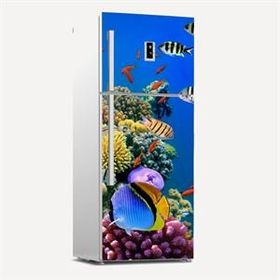 Tilki Dünyası 0161 Buzdolabı Stickerı