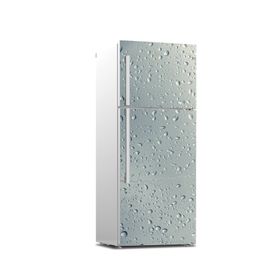 Tilki Dünyası 0164 Buzdolabı Stickerı