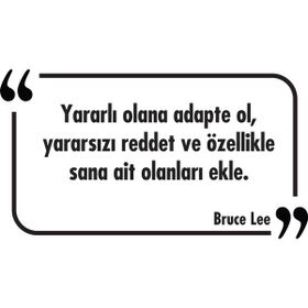 Tilki Dünyası 033 Dekoratif Duvar Yazısı Sticker