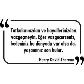 Tilki Dünyası 034 Dekoratif Duvar Yazısı Sticker