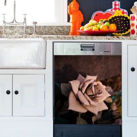 Tilki Dünyası BLSK000053 Kağıt Gül Bulaşık Makinası Kapak Stickerı