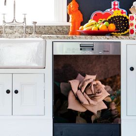 Tilki Dünyası BLSK000053 Kağıt Gül Bulaşık Makinası Kapak Stickerı