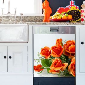 Tilki Dünyası BLSK000065 Turuncu Güller Bulaşık Makinası Kapak Stickerı