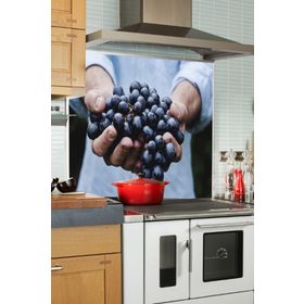 Tilki Dünyası Mutfak Ocağı Arkası Üzümler Sticker