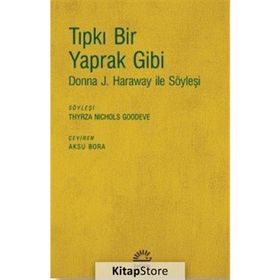 Tıpkı Bir Yaprak Gibi - Thyrza Nichols Goodeve