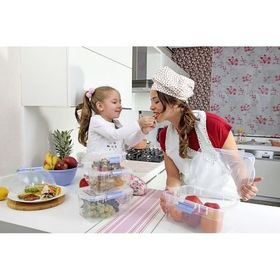 Titiz Larder Kilitli 1500 ml Saklama Kabı