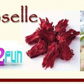 Tohhum 10+ Şifalı Roselle Bitkisi Tohum
