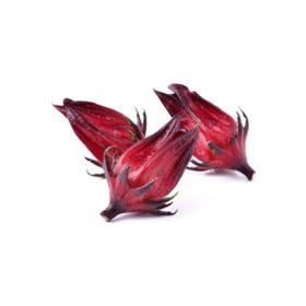Tohhum 10+ Şifalı Roselle Bitkisi Tohum