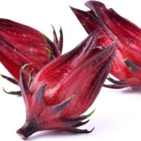 Tohhum 10+ Şifalı Roselle Bitkisi Tohum