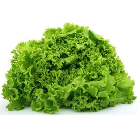 Tohhum 1000+ Adet Erkenci Kıvırcık Tohumu