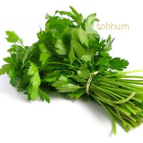 Tohhum 1000+ Maydonoz Tohumu