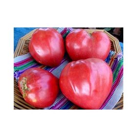 Tohhum 15 Pembe Kalp Domates Pink Oxheart Tohumu
