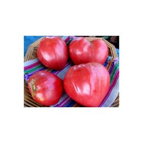 Tohhum 15 Pembe Kalp Domates Pink Oxheart Tohumu