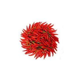 Tohhum 25+ Cin Biberi Tohumu