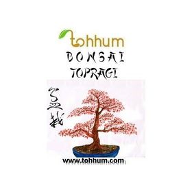 Tohhum 3 lt Bonsai Ağaç Toprağı Karışımı Tohumu