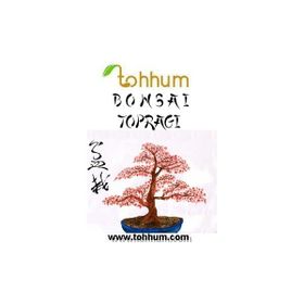 Tohhum 3 lt Bonsai Ağaç Toprağı Karışımı Tohumu