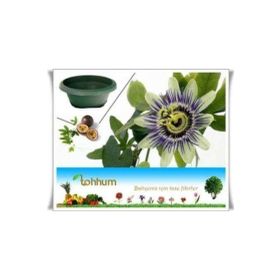 Tohhum 5 Adet Passiflora Tohumu