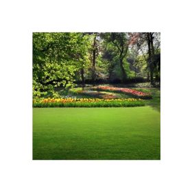 Tohhum 5 kg Shade Mix 5'li Karışım Çim Tohumu