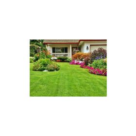 Tohhum 5 kg Villa Mix 7'li Karışım Çim Tohumu