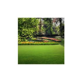 Tohhum 5 kg Villa Mix 7'li Karışım Çim Tohumu