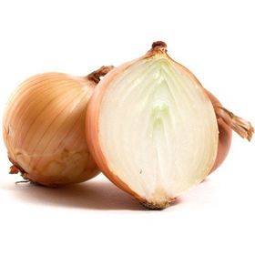 Tohhum 50+ Onion Soğan Tohum