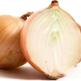 Tohhum 50+ Onion Soğan Tohum