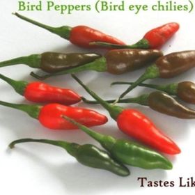 Tohhum Acı Kuş Biberi Bırd Pepper Tohum