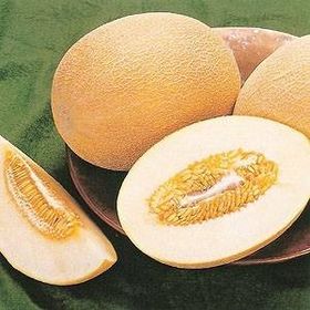 Tohhum Ananas Kavun Tohumu