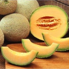 Tohhum Ananas Kavun Tohumu