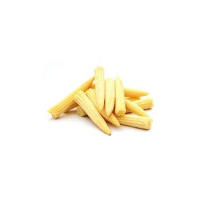 Tohhum Baby Corn Minik Bebek Mısırı Tohumu