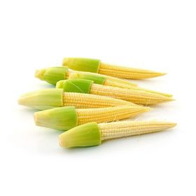 Tohhum Baby Corn Minik Bebek Mısırı Tohumu